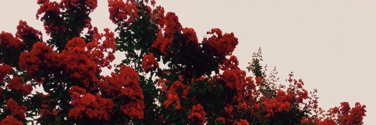 gyeomdarling's profile banner image
