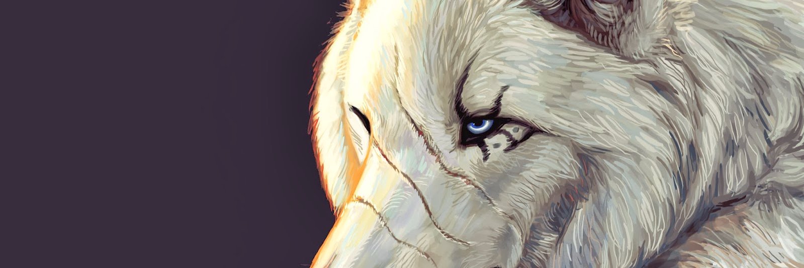 My0xCS's profile banner image