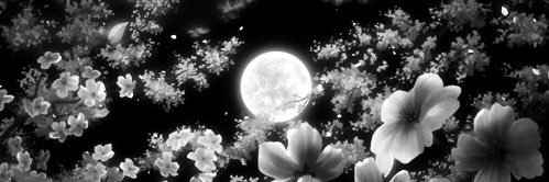 BreeGatty's profile banner image