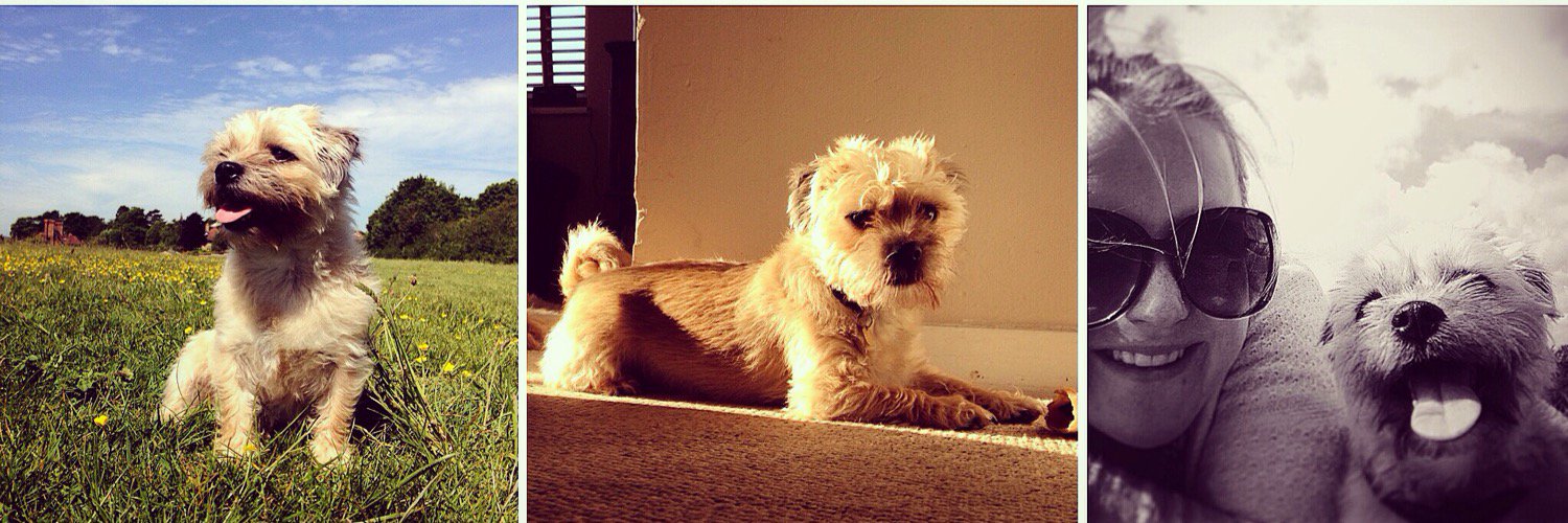 Elizabeth Secker banner