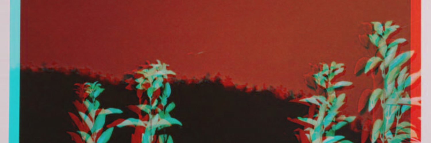 angelothestray's profile banner image