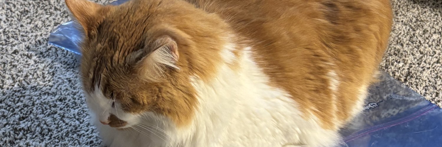 theozvoracious's profile banner image