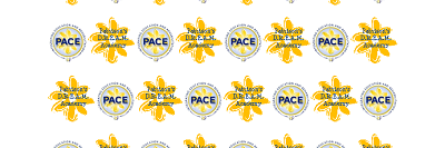 Pattisons's profile banner image