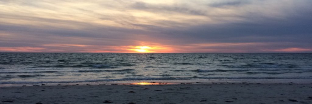 elizajohnson34's profile banner image