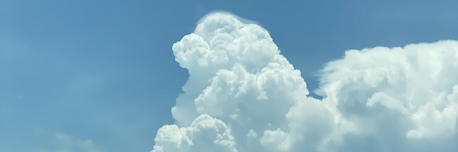 taylorcardinn's profile banner image