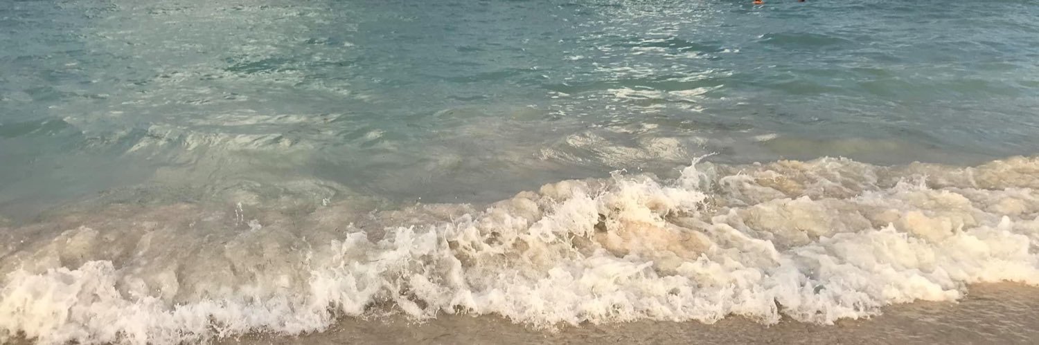 fflorolivero's profile banner image