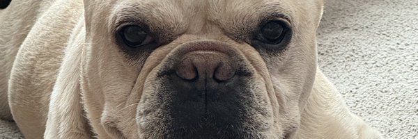 MizzWelch Profile Banner