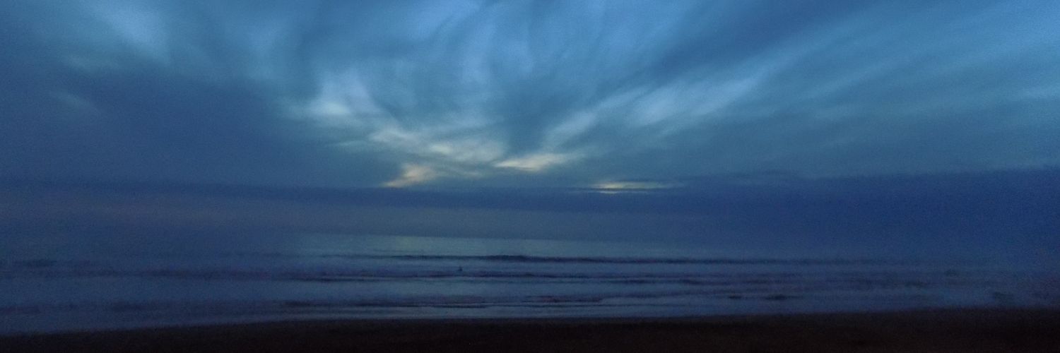nicolecatth's profile banner image