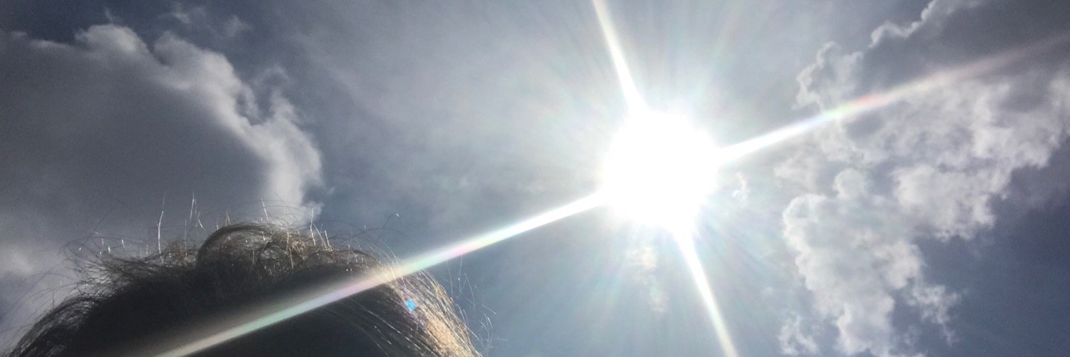 julepthetulip's profile banner image
