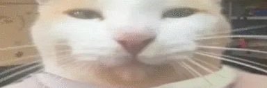 turbosoupe's profile banner image