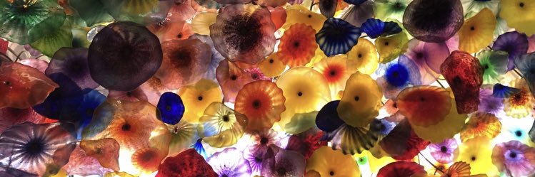 Rachel Tappenden banner