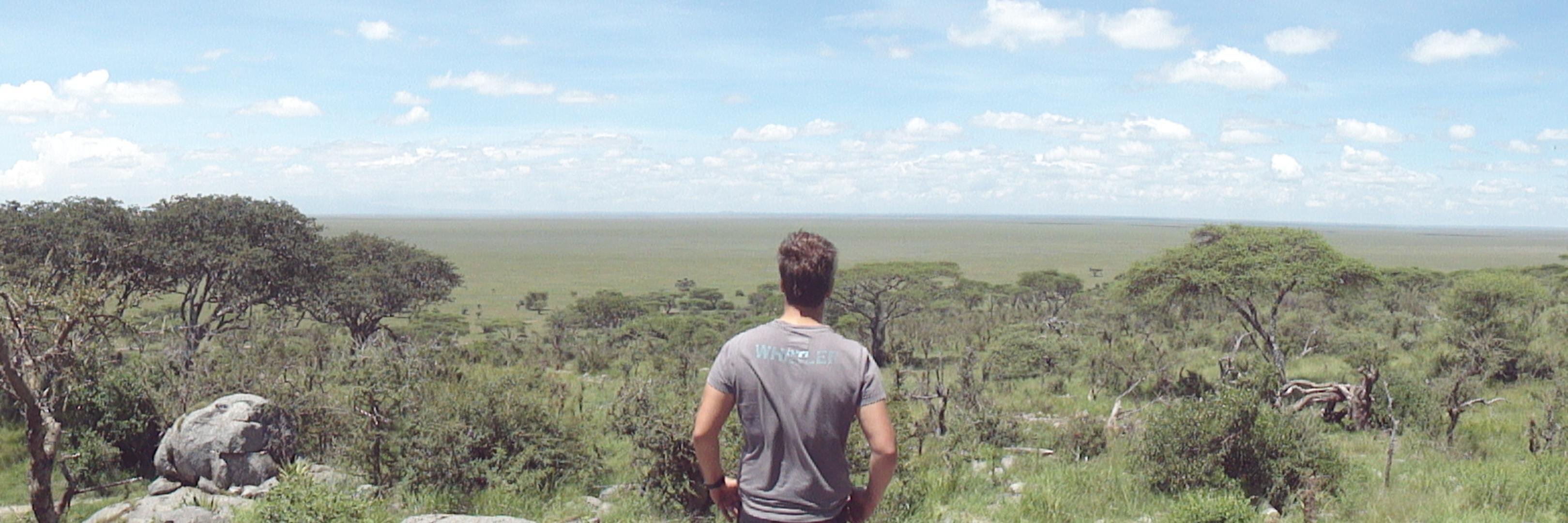WilliamAntoni95's profile banner image