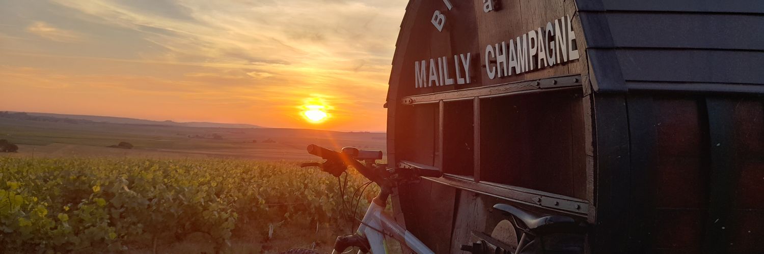 Cycling Trucker banner