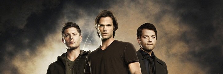 carissacodner's profile banner image