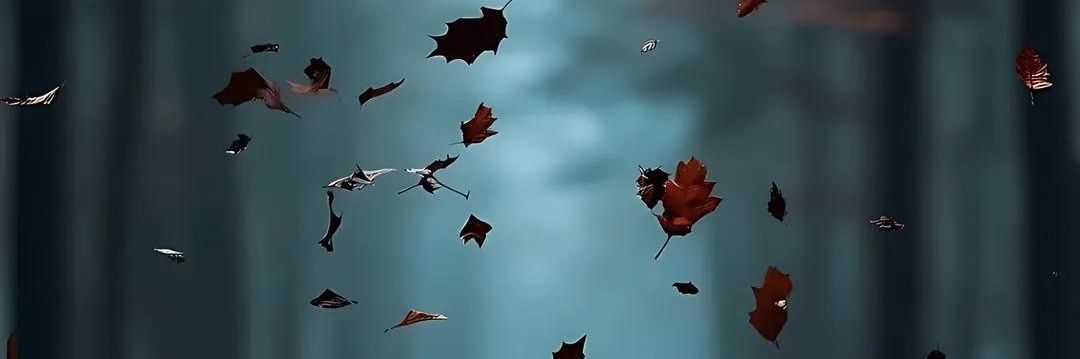 viento2110's profile banner image