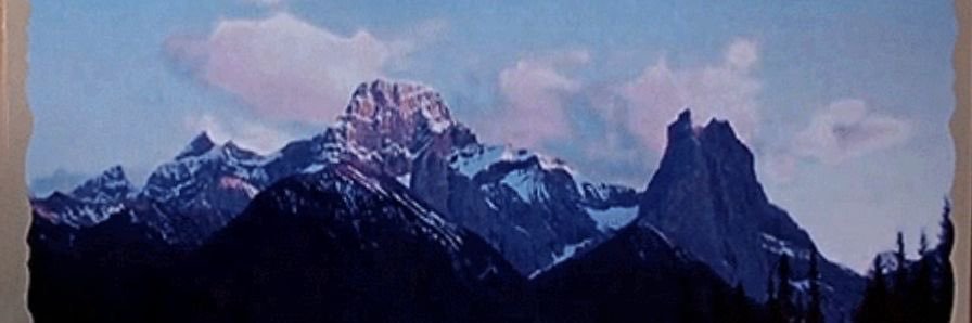 joyce ♡ banner