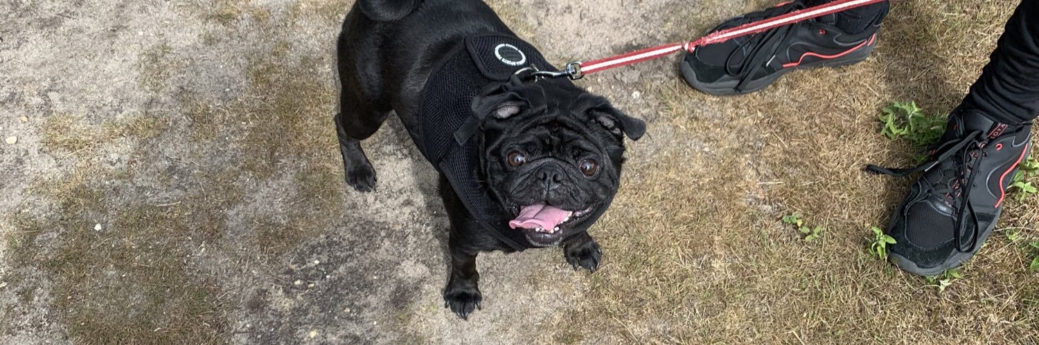 TeegssXx's profile banner image