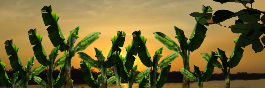 AndresRealiza's profile banner image