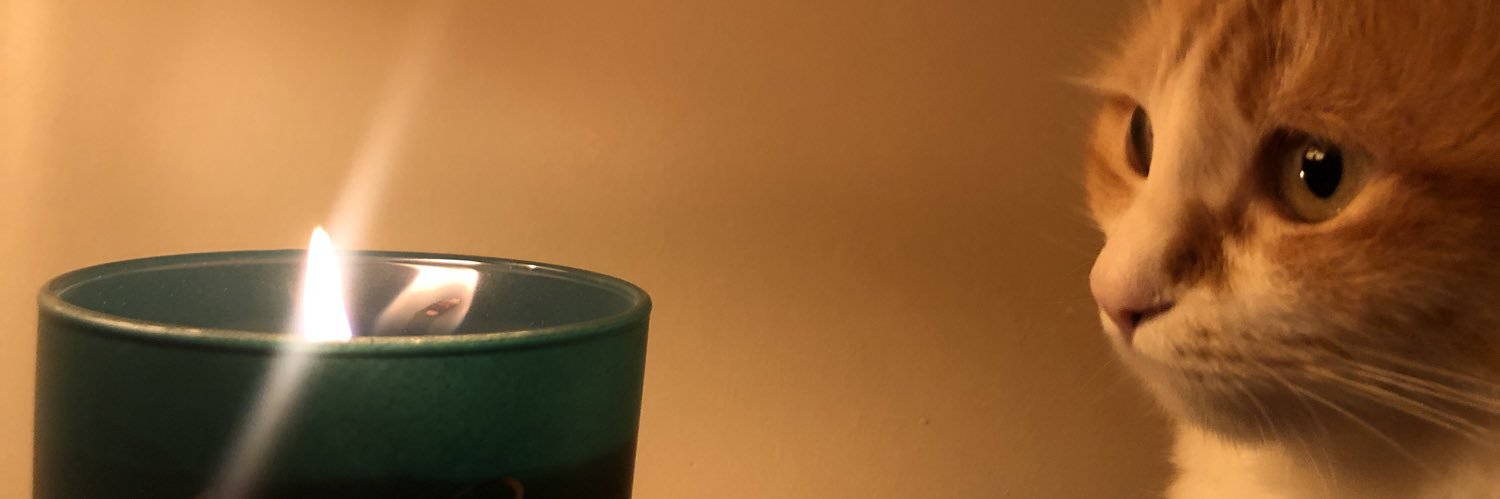 ahverii's profile banner image