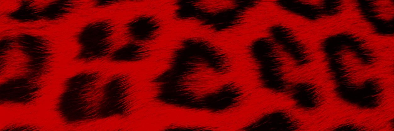 jenthomasradio's profile banner image