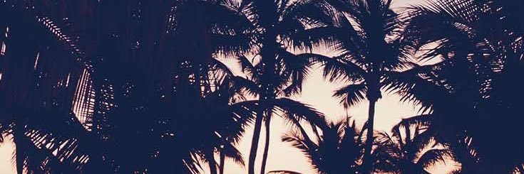 aldemarestt's profile banner image