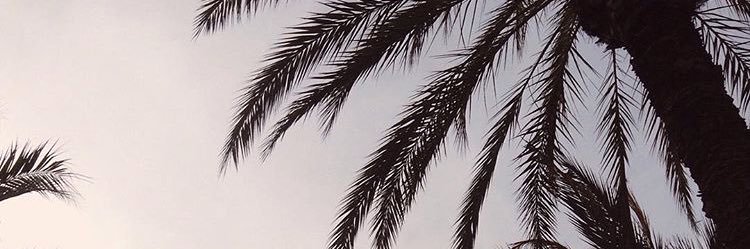Pradamess's profile banner image