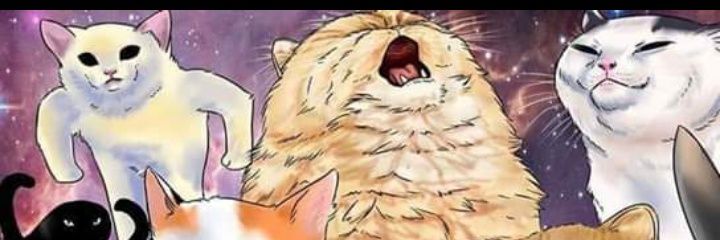 NGreat890's profile banner image