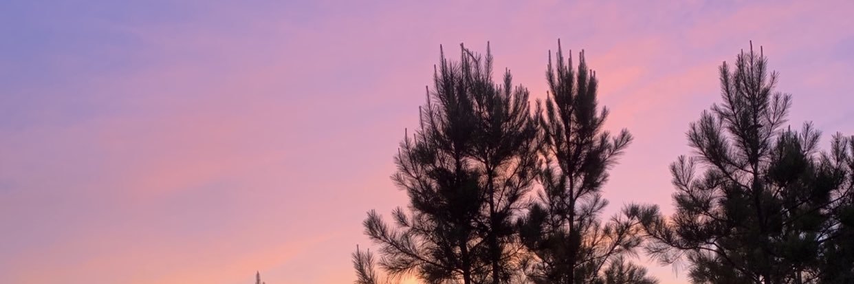 heyitsjessemae's profile banner image