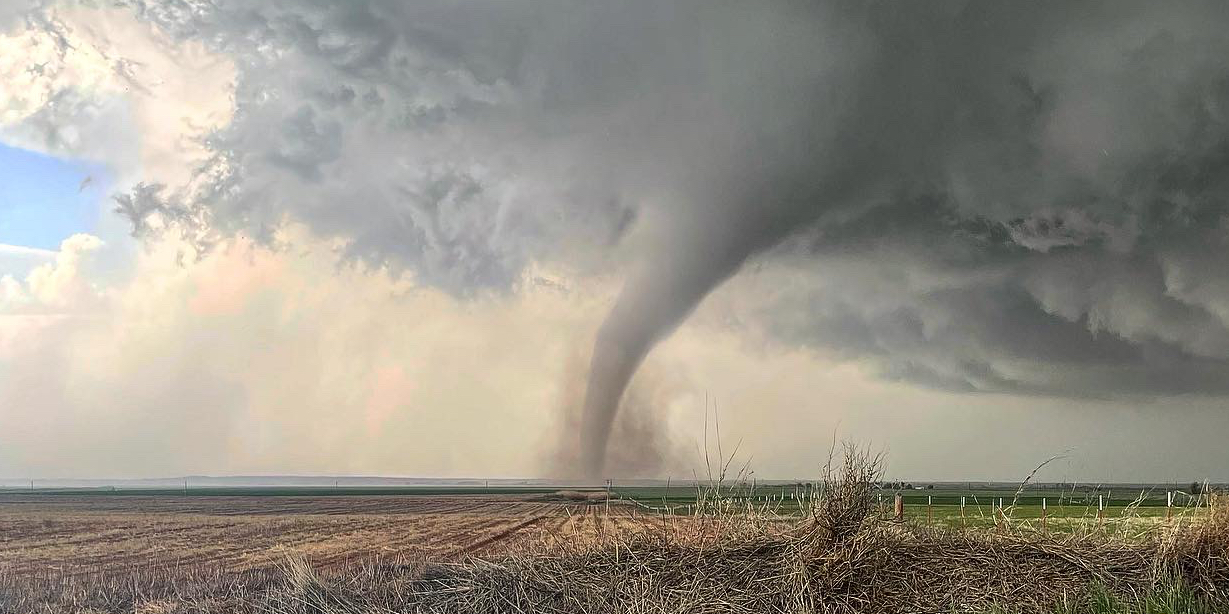 Matthew Gaylor banner