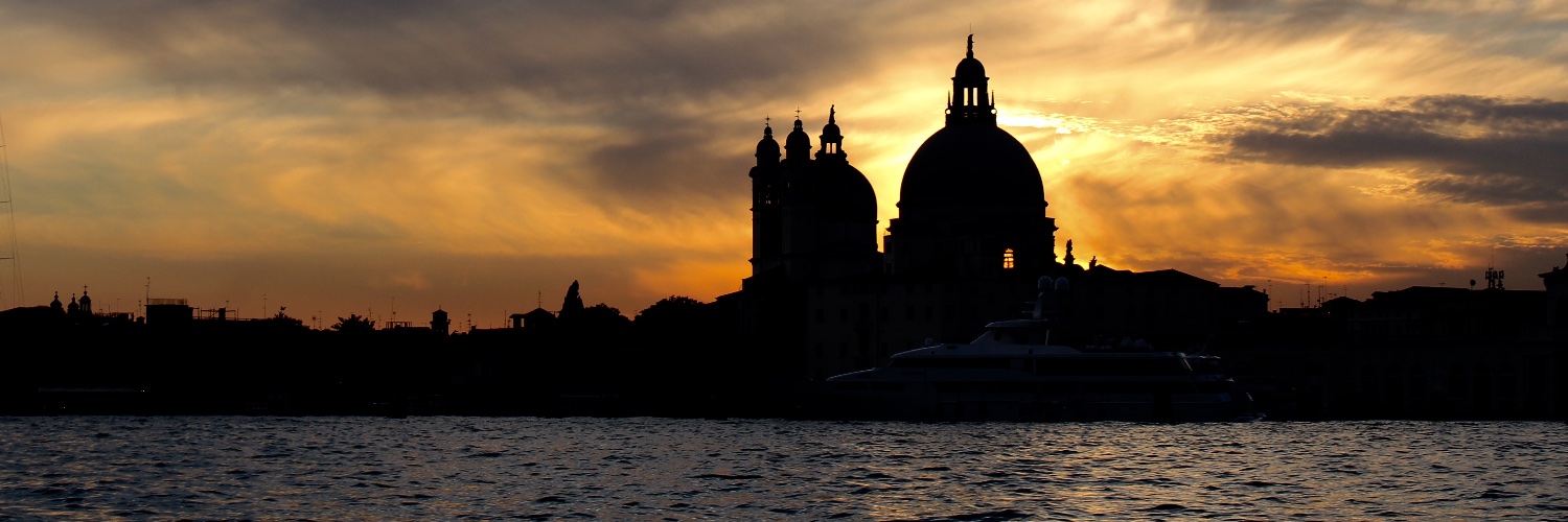 Elise Doganieri banner