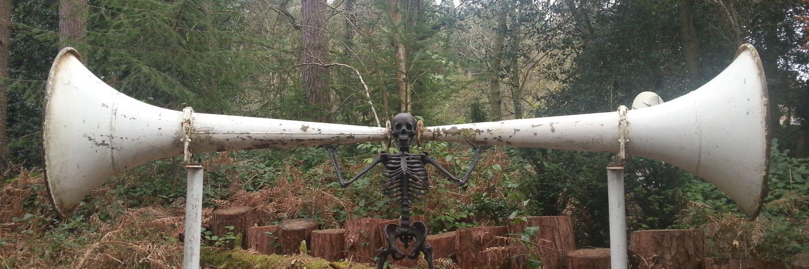 SkyBlueWooHoo banner