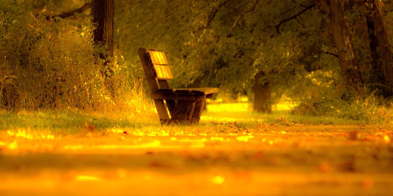 Rabia_Babar's profile banner image
