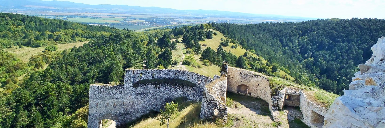 Dr. Rachel Sippy is on STRIKE! banner