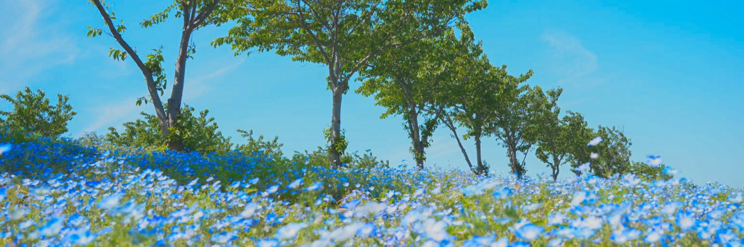 ishibassi519i's profile banner image