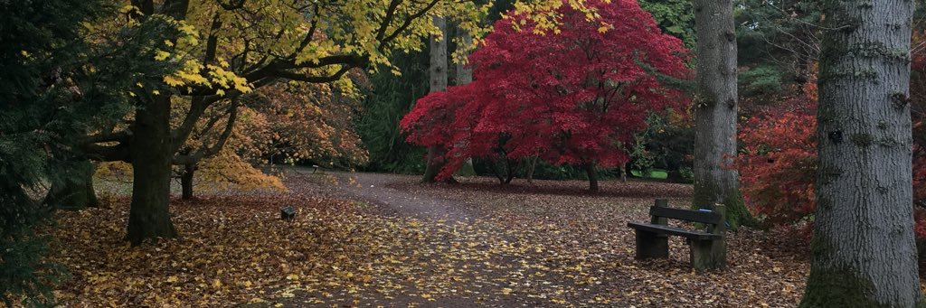 Ellie Clark banner