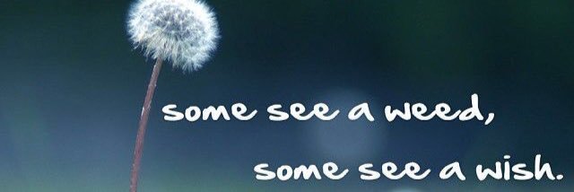 Emily (Knupp) Sweeney banner