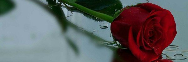 2ndCheef Profile Banner