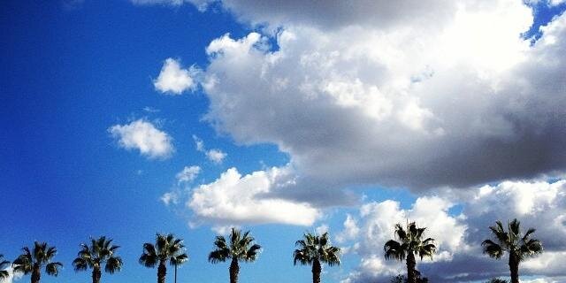 BlueSkyHigh91's profile banner image