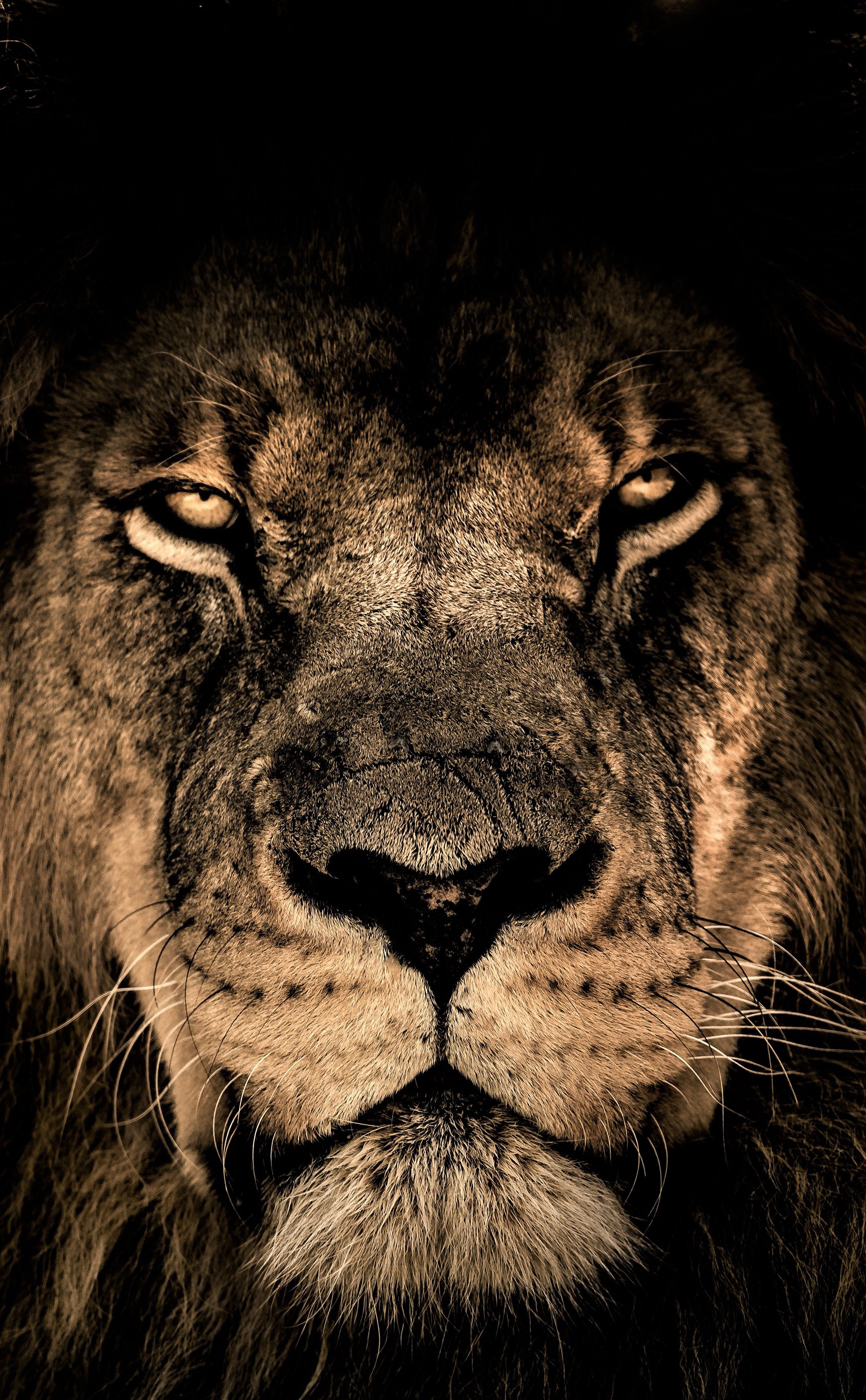 pr3slymumo's profile banner image
