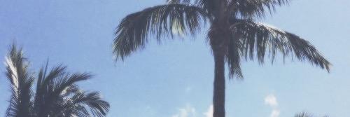 solo_dmxhelp's profile banner image