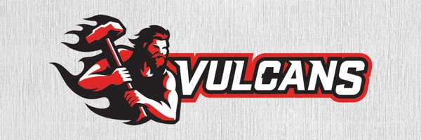calvulcans Profile Banner