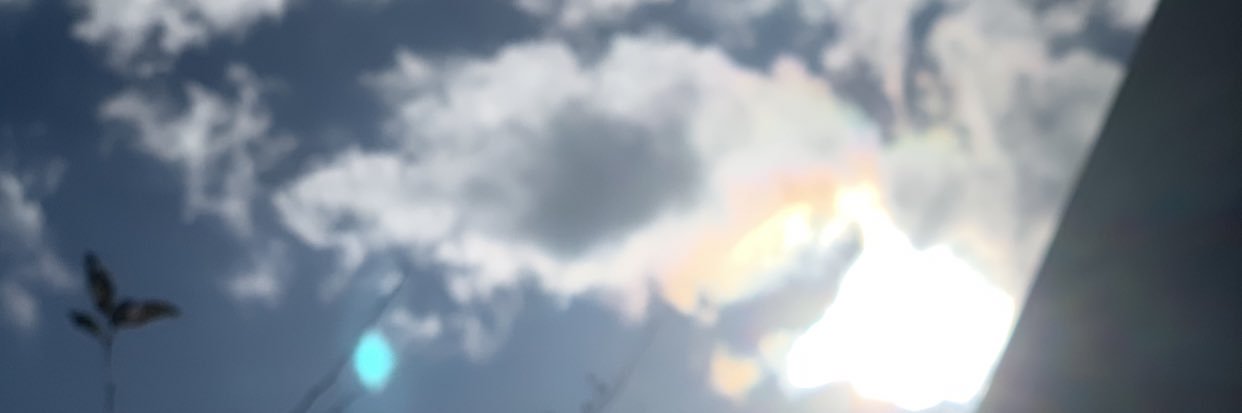 nonie_214's profile banner image