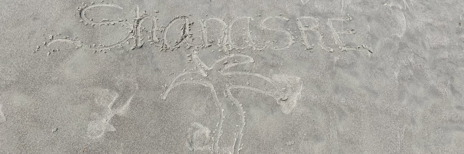 shanasre's profile banner image