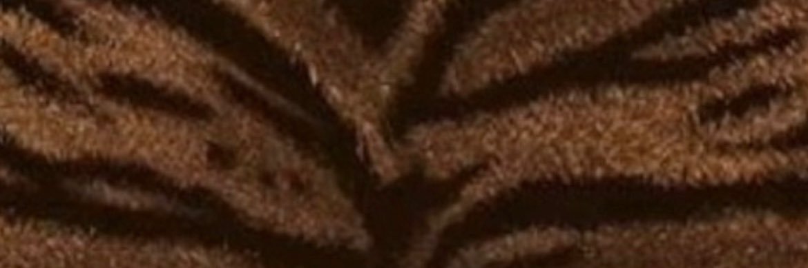 destinyyobi's profile banner image
