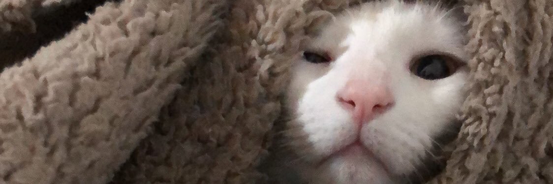 bautifariass's profile banner image