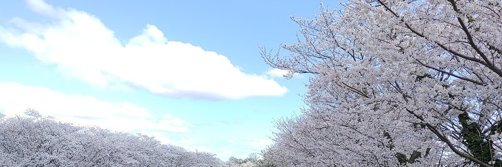 みなみうり／高月麻澄 banner