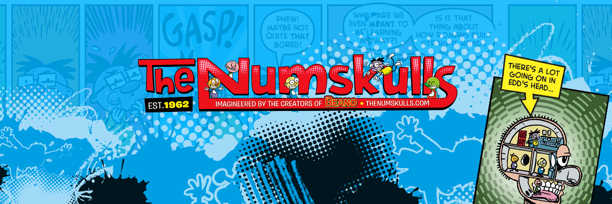 TheNumskulls's profile banner image