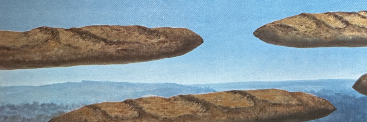 breadslicedog's profile banner image