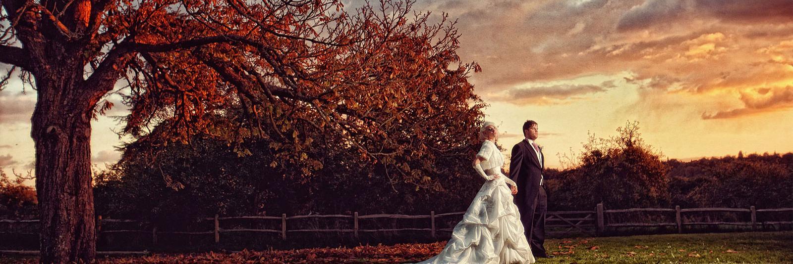 BridalInspo's profile banner image