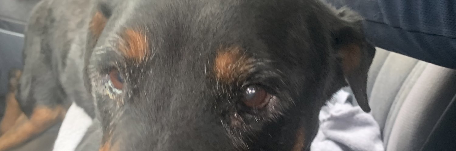 aaguileralefty1's profile banner image